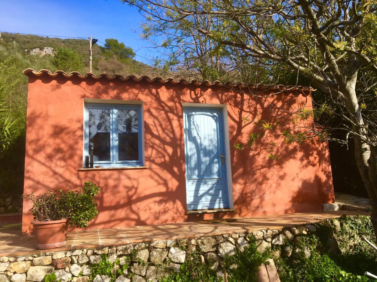 Magnifique Studio Dans Maisonnette Tourrettes-sur-Loup Exterior photo